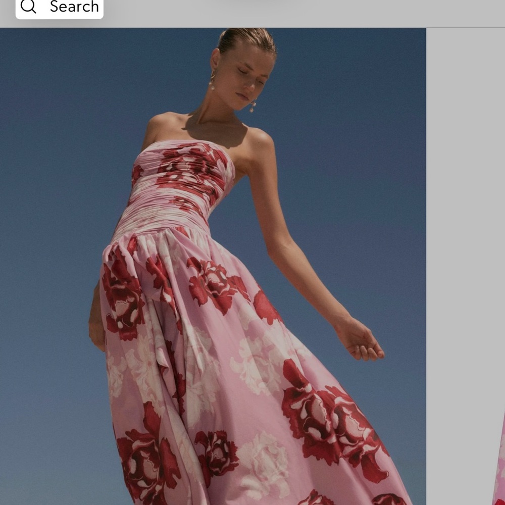 Aje Behold Floral Strapless Pink Dress